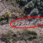 Tentuan të transportonin 6 emigrantë drejt kufirit me Greqinë, arrestohen dy persona në Vlorë